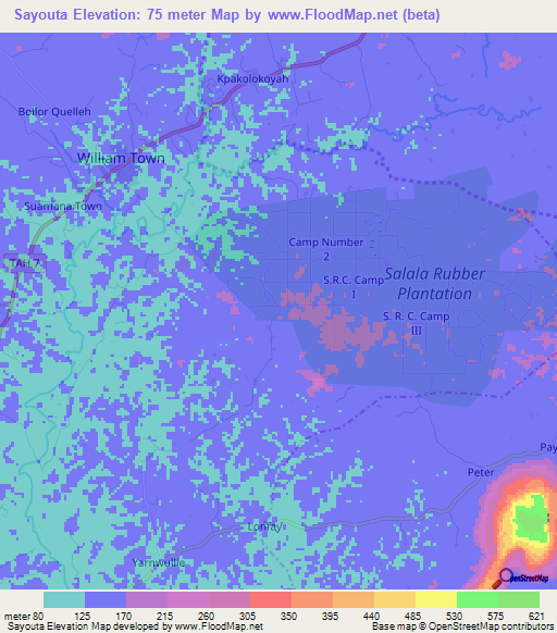 Sayouta,Liberia Elevation Map
