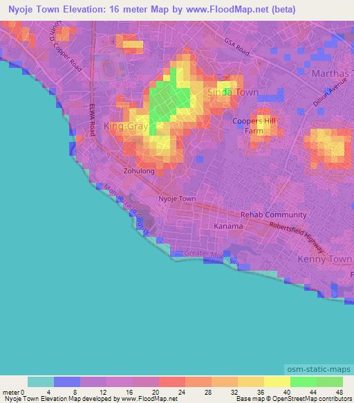 Nyoje Town,Liberia Elevation Map