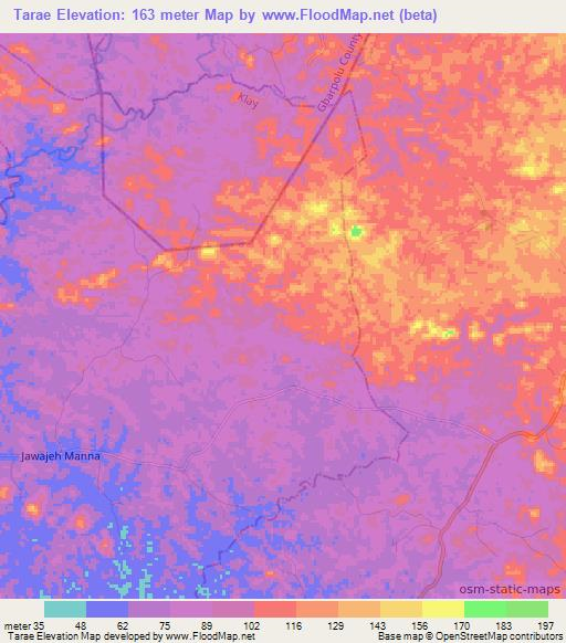 Tarae,Liberia Elevation Map