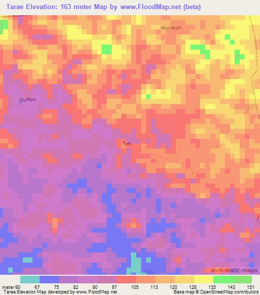 Tarae,Liberia Elevation Map