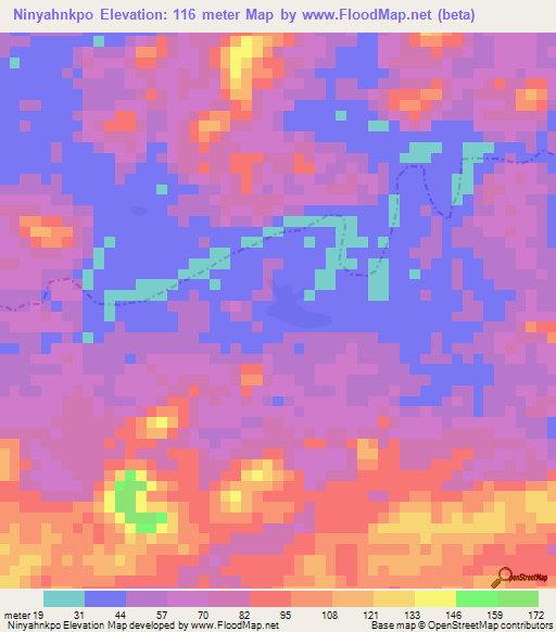 Ninyahnkpo,Liberia Elevation Map