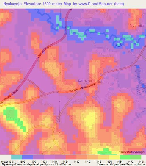 Nyakayojo,Uganda Elevation Map