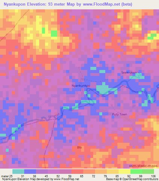 Nyankupon,Liberia Elevation Map
