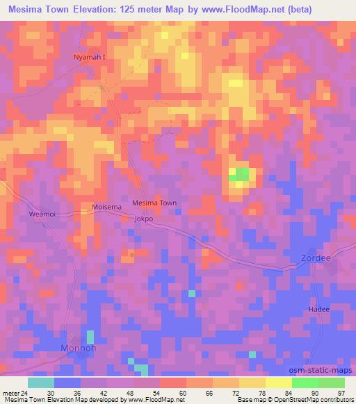 Mesima Town,Liberia Elevation Map