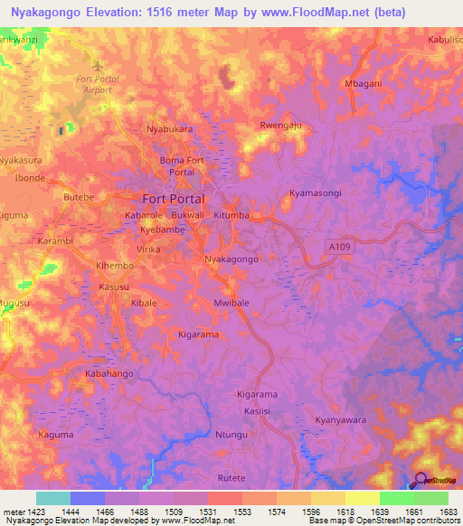 Nyakagongo,Uganda Elevation Map