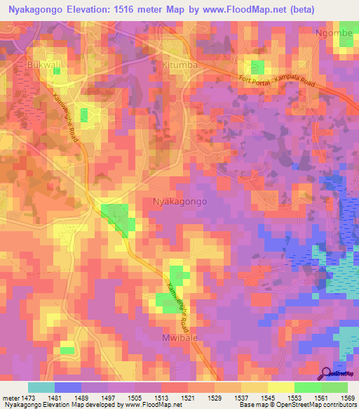 Nyakagongo,Uganda Elevation Map