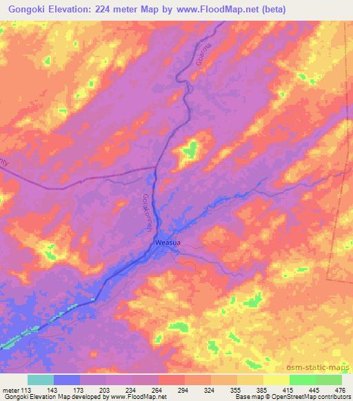 Gongoki,Liberia Elevation Map