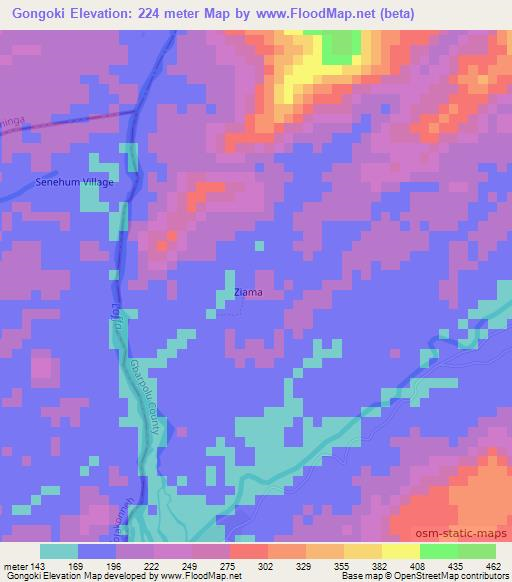 Gongoki,Liberia Elevation Map