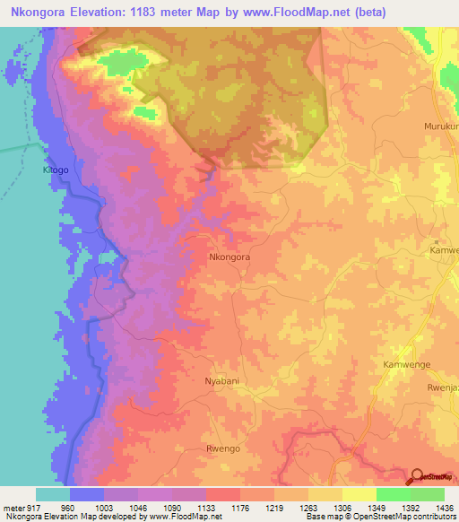 Nkongora,Uganda Elevation Map