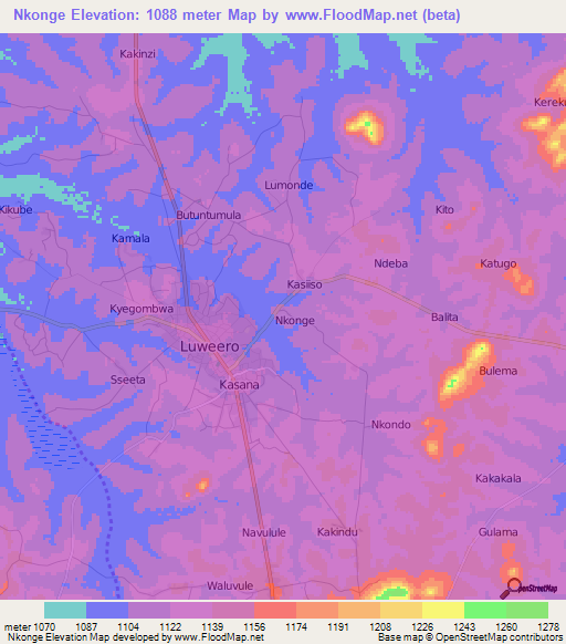 Nkonge,Uganda Elevation Map