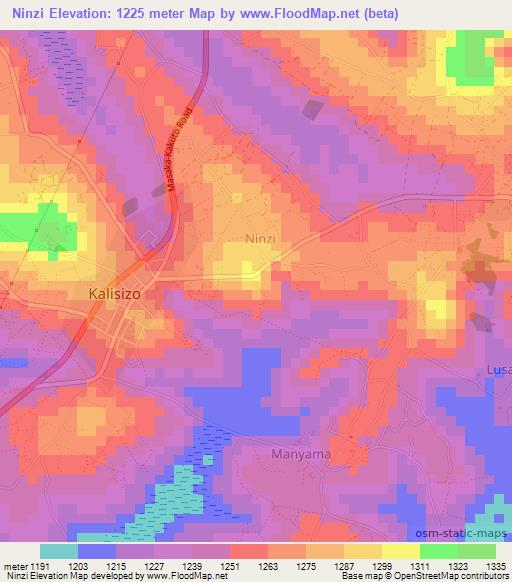 Ninzi,Uganda Elevation Map