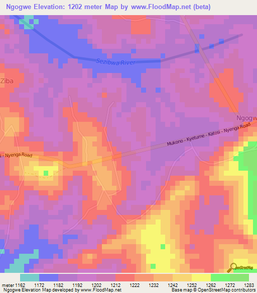 Ngogwe,Uganda Elevation Map