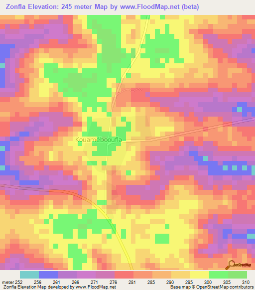 Zonfla,Ivory Coast Elevation Map