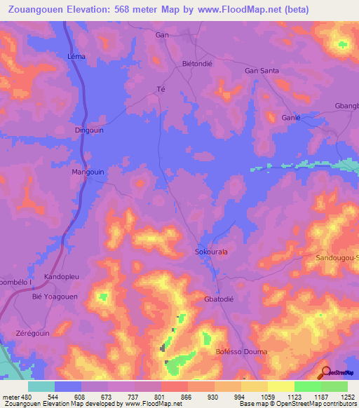 Zouangouen,Ivory Coast Elevation Map