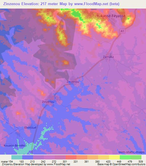 Zinzenou,Ivory Coast Elevation Map