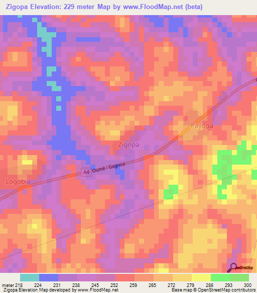 Zigopa,Ivory Coast Elevation Map