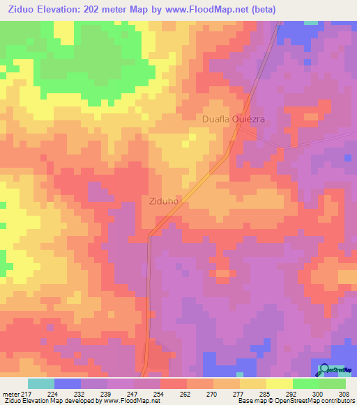 Ziduo,Ivory Coast Elevation Map