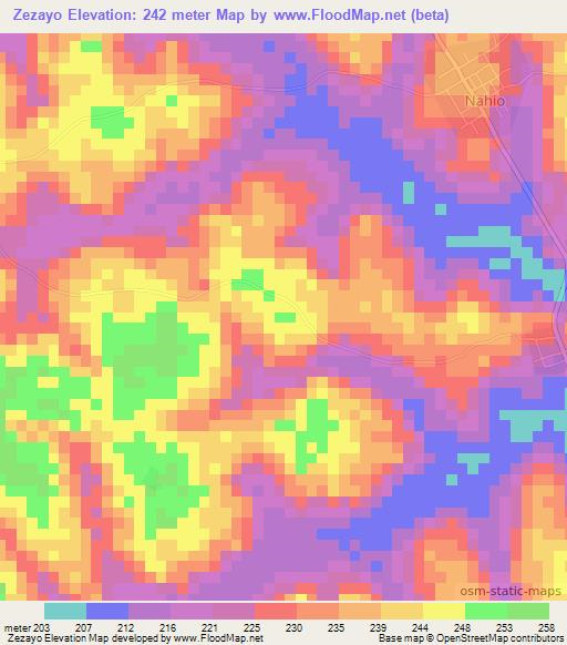 Zezayo,Ivory Coast Elevation Map