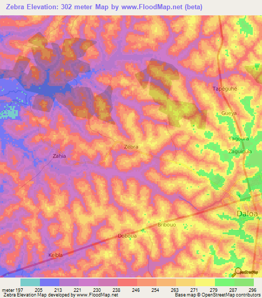 Zebra,Ivory Coast Elevation Map
