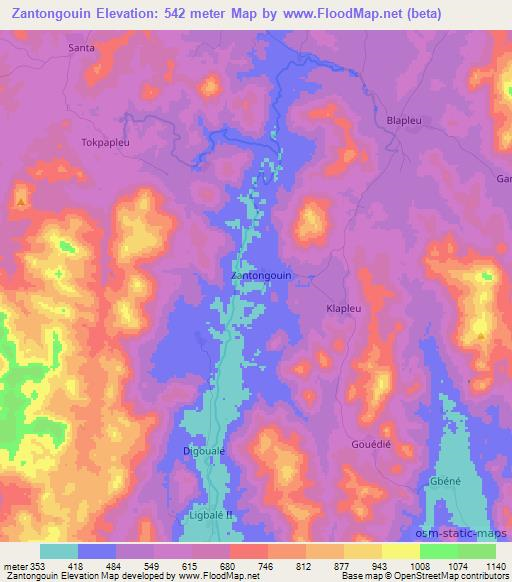 Zantongouin,Ivory Coast Elevation Map
