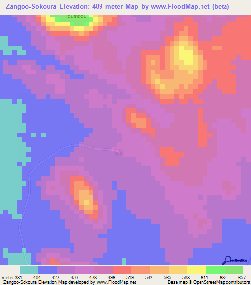 Zangoo-Sokoura,Ivory Coast Elevation Map