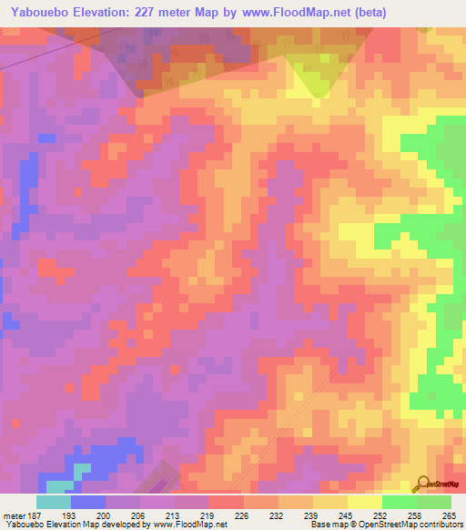 Yabouebo,Ivory Coast Elevation Map