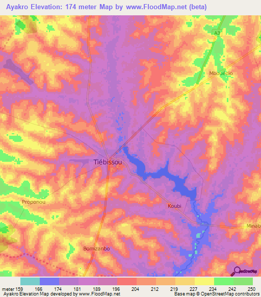 Ayakro,Ivory Coast Elevation Map