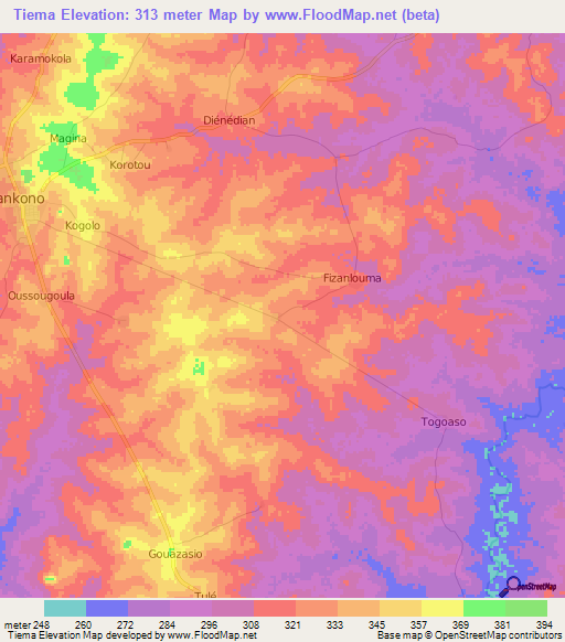 Tiema,Ivory Coast Elevation Map
