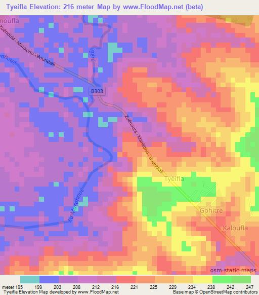 Tyeifla,Ivory Coast Elevation Map