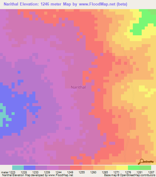 Narithal,Uganda Elevation Map