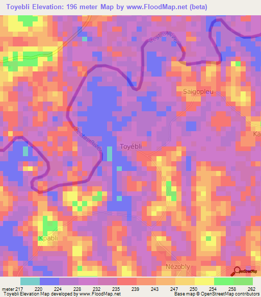 Toyebli,Ivory Coast Elevation Map