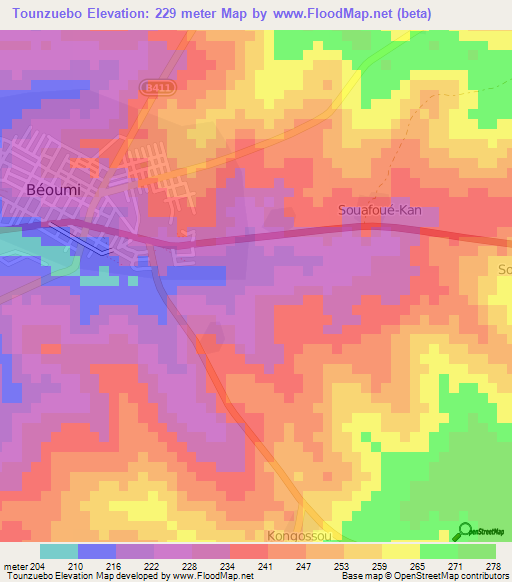 Tounzuebo,Ivory Coast Elevation Map