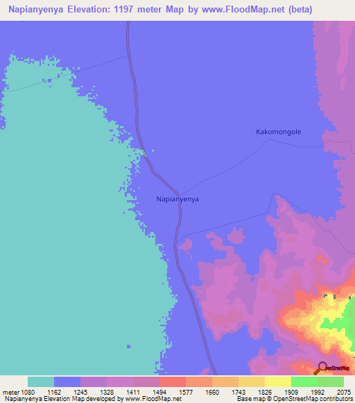 Napianyenya,Uganda Elevation Map