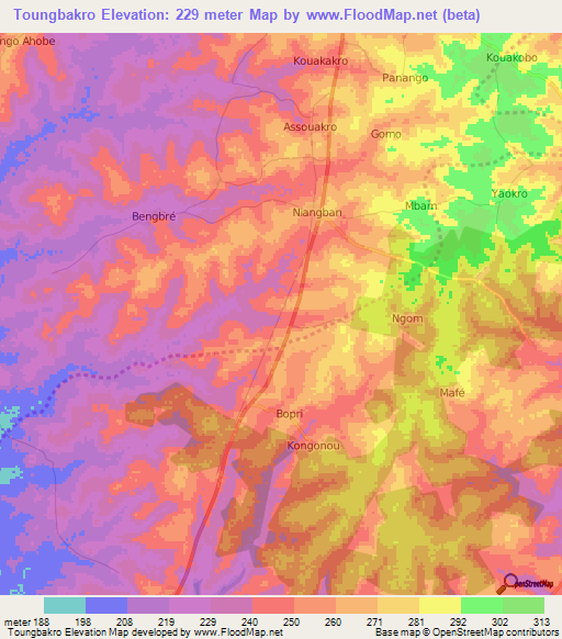 Toungbakro,Ivory Coast Elevation Map