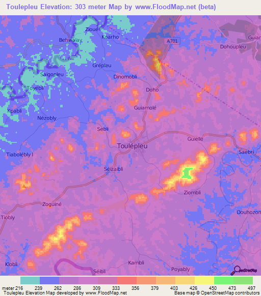 Toulepleu,Ivory Coast Elevation Map