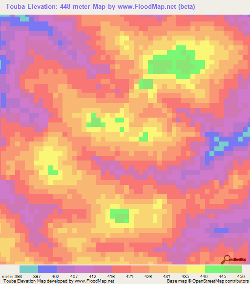 Touba,Ivory Coast Elevation Map