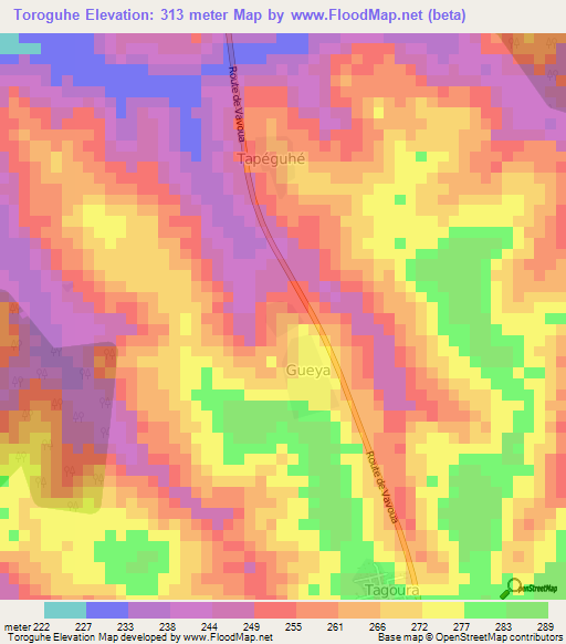 Toroguhe,Ivory Coast Elevation Map