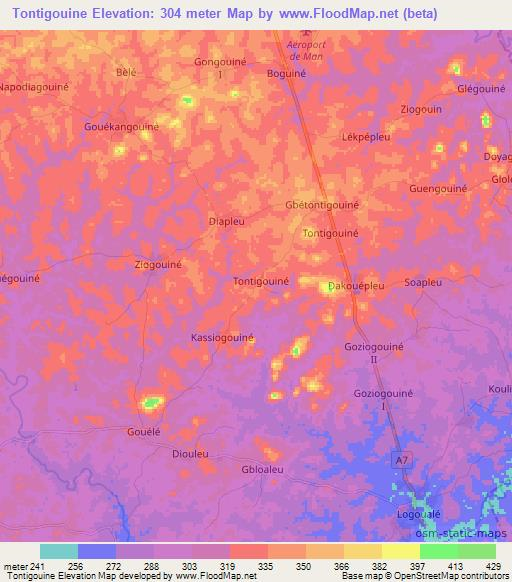 Tontigouine,Ivory Coast Elevation Map