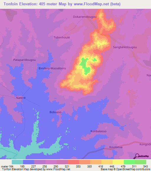 Tonfoin,Ivory Coast Elevation Map