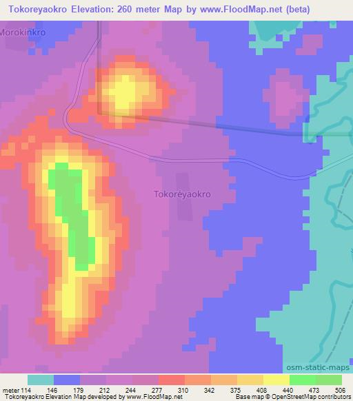 Tokoreyaokro,Ivory Coast Elevation Map