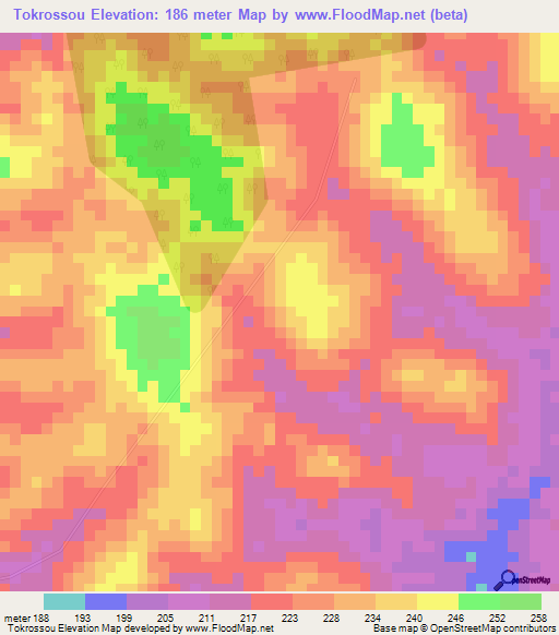 Tokrossou,Ivory Coast Elevation Map