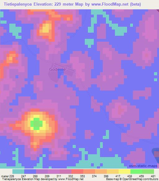 Tietiepalenyoa,Ivory Coast Elevation Map