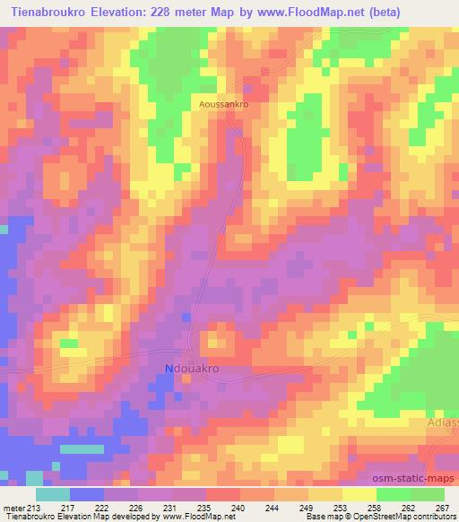 Tienabroukro,Ivory Coast Elevation Map
