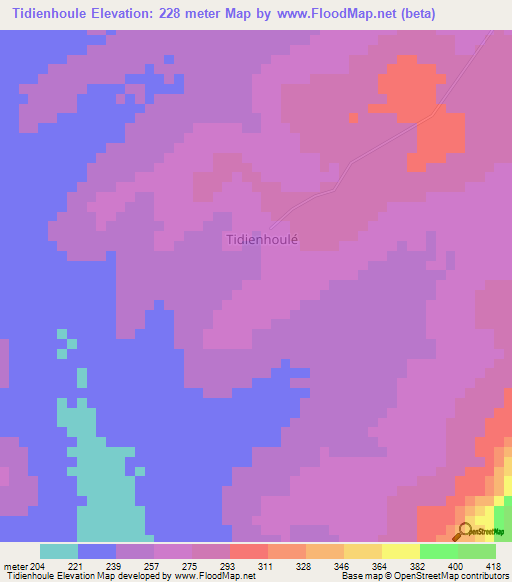 Tidienhoule,Ivory Coast Elevation Map