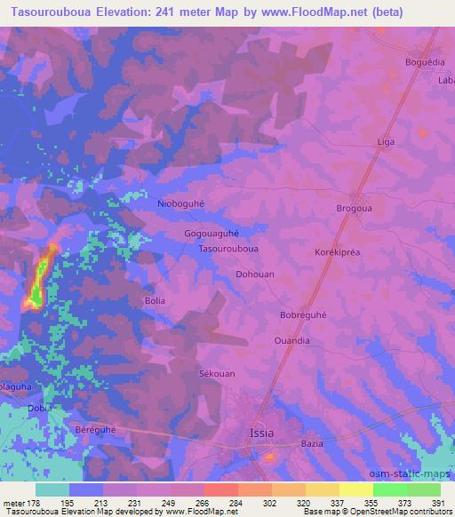 Tasourouboua,Ivory Coast Elevation Map