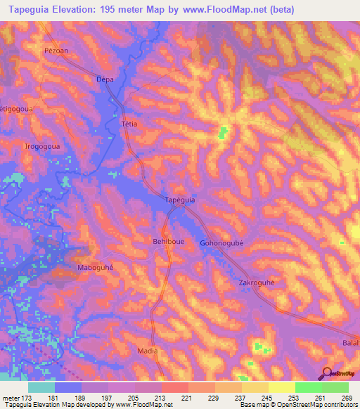 Tapeguia,Ivory Coast Elevation Map