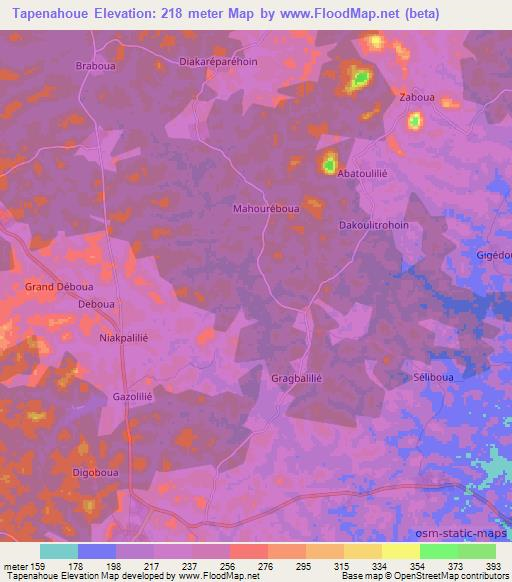 Tapenahoue,Ivory Coast Elevation Map