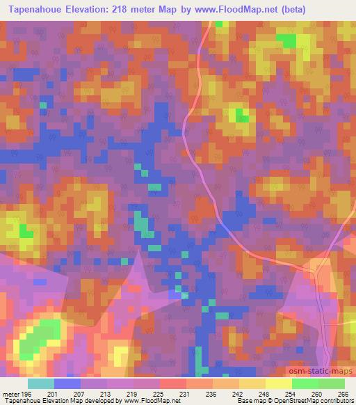 Tapenahoue,Ivory Coast Elevation Map