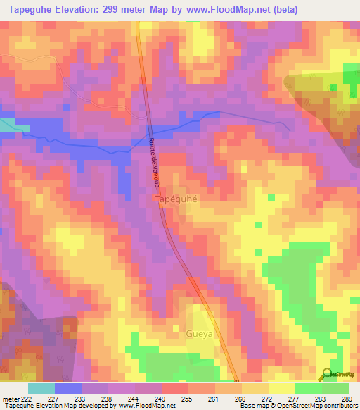 Tapeguhe,Ivory Coast Elevation Map