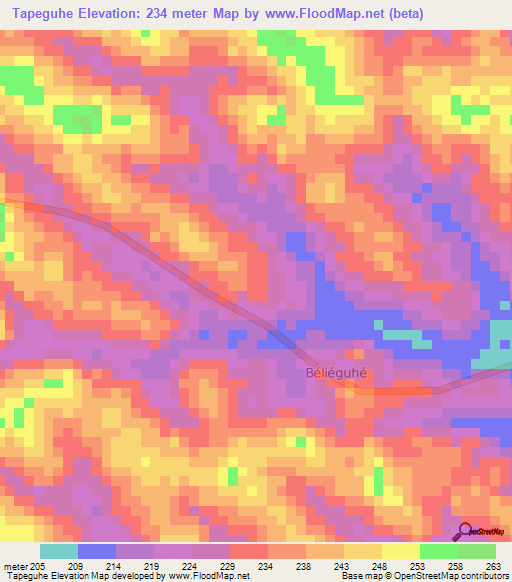 Tapeguhe,Ivory Coast Elevation Map